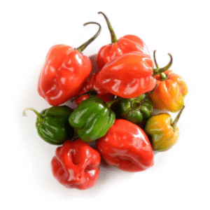 Habanero