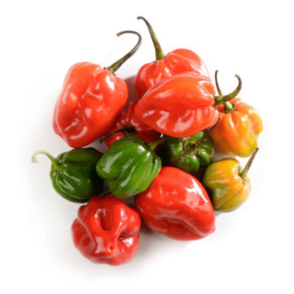 Habanero