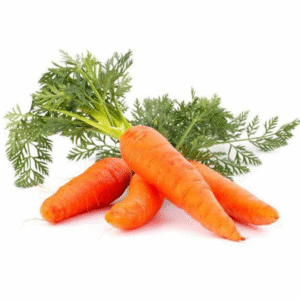 Carrot