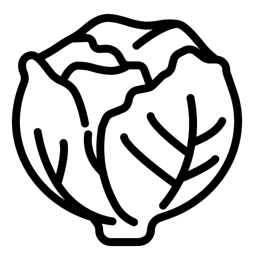 features box